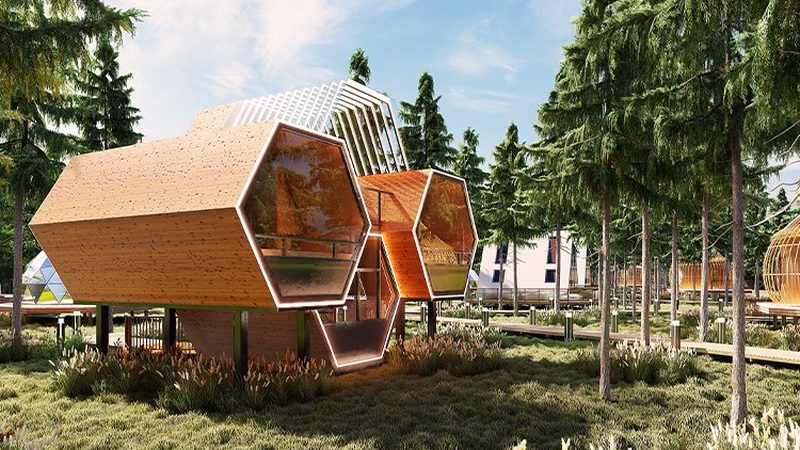 研学旅行：现状与未来展望