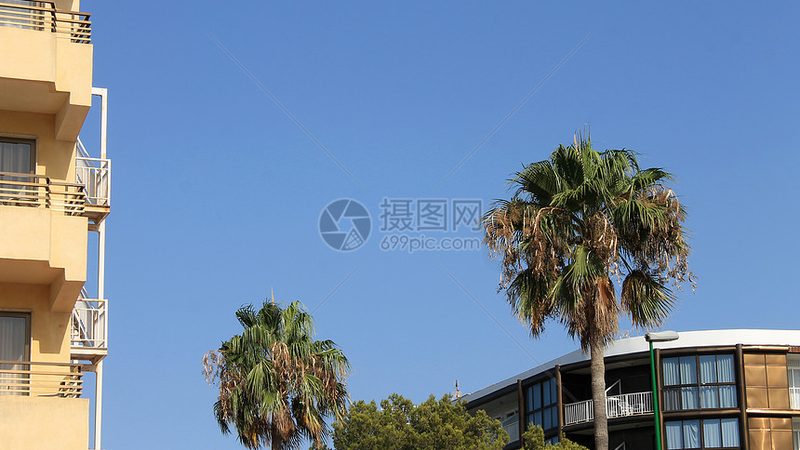 高空拓展训练架材质标准揭秘：安全与品质的双重保障